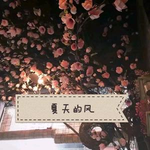 干日本美女空姐视频网站
