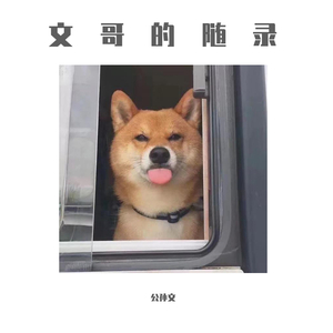 干日本美女空姐视频网站
