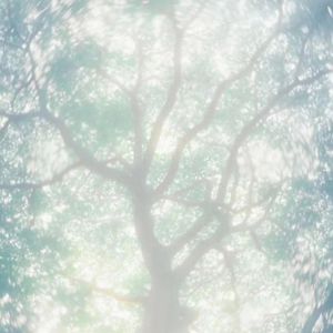 干日本美女空姐视频网站
