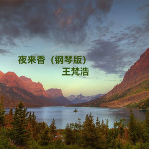 干日本美女空姐视频网站
