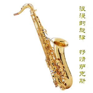 干日本美女空姐视频网站
